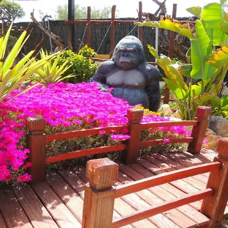 Vacation Albatros & Glamping Spain Appartement *