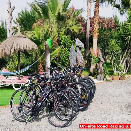 Vacation Albatros & Glamping Spain *